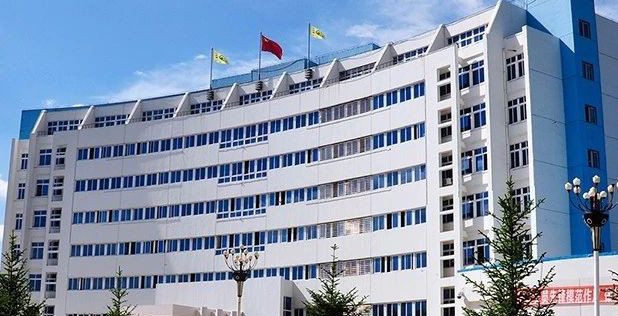 优化干部队伍结构，提高工作效率