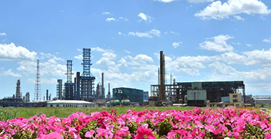 博猫游戏钛业获2017年度纳税信用A级企业称号