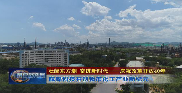 改革开放40年：博猫游戏科技开创我市化工博猫游戏(中国区)官方网站新纪元