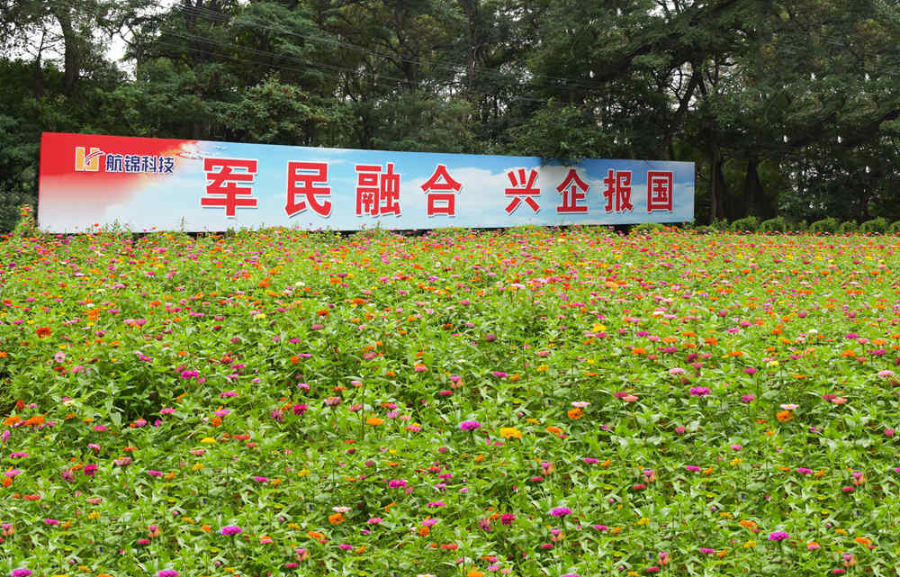 化工军工再迎双红 博猫游戏科技去年业绩增97%